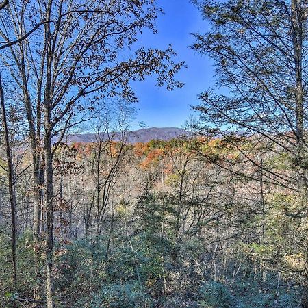 Natures Retreat With Hot Tub 7 Mi To Bryson City Whittier Exteriör bild